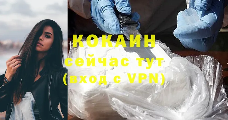 купить наркоту  Вязьма  Cocaine Эквадор 